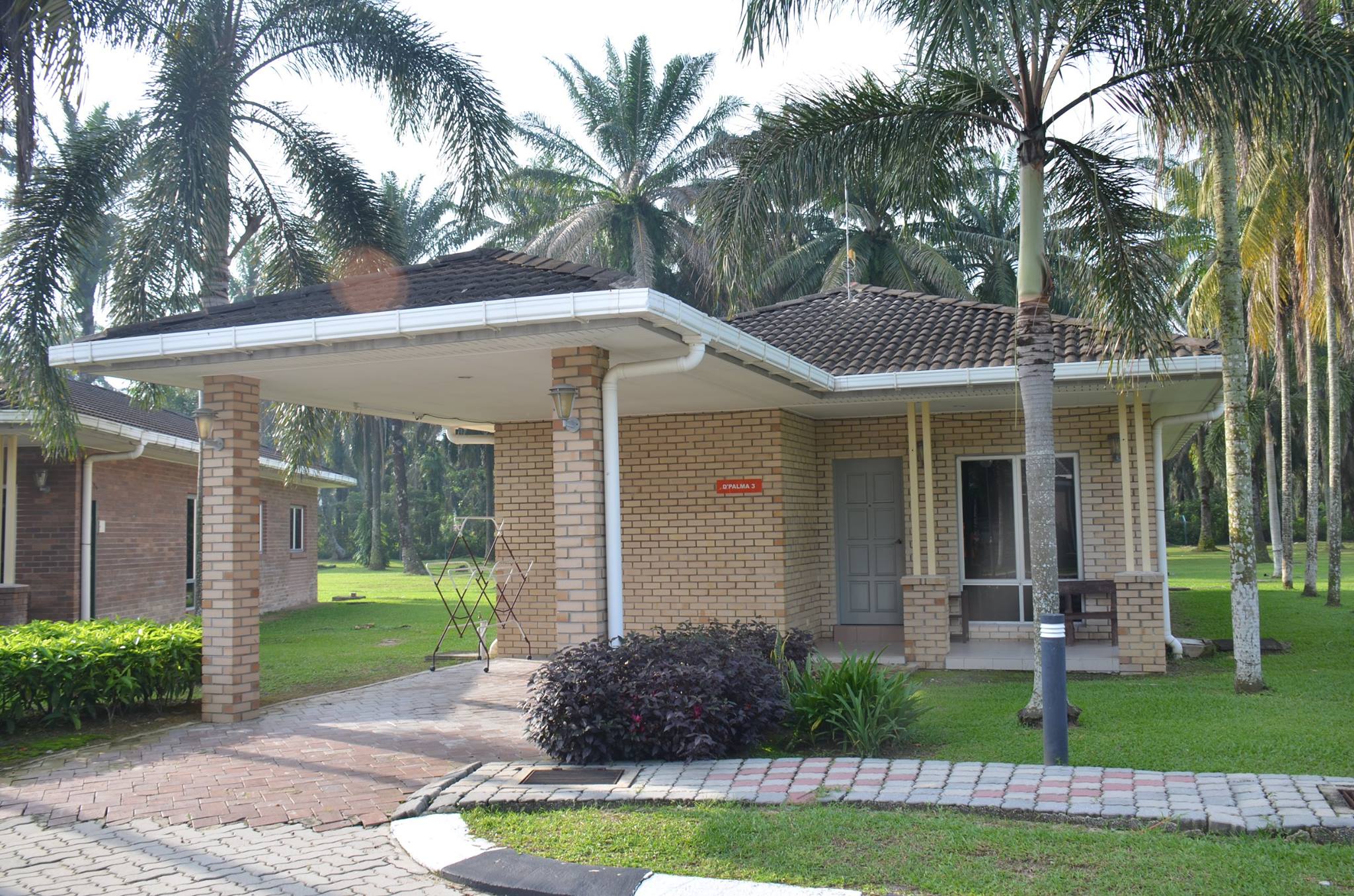 Dpalma Residence